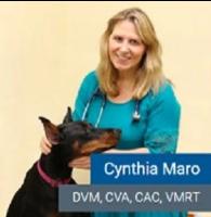Cynthia Maro DVM